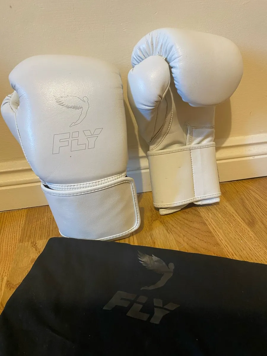 Fly Boxing Gloves 14oz - Image 2