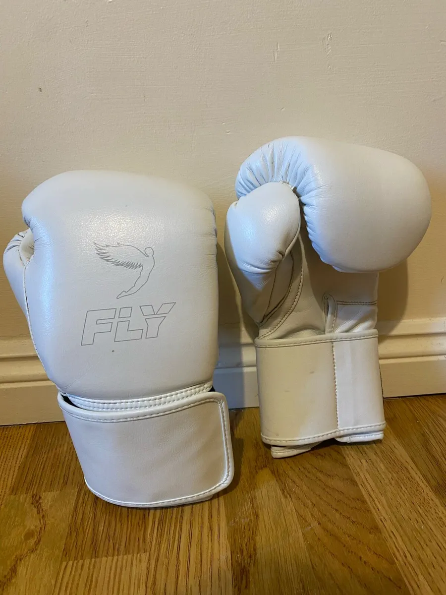 Fly Boxing Gloves 14oz - Image 3
