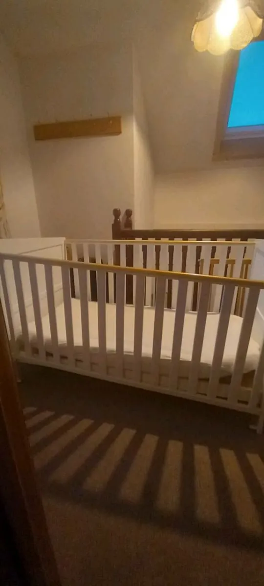 Cot - Image 3