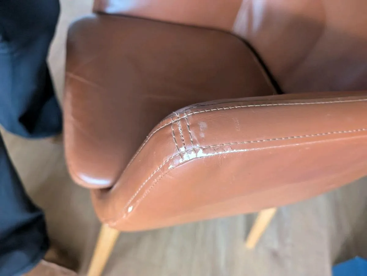 6 dining chairs - Image 3
