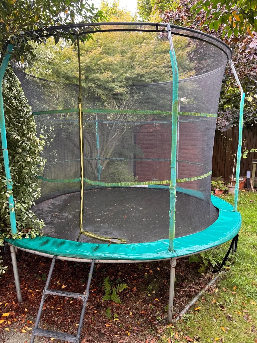 Trampoline - Image 3
