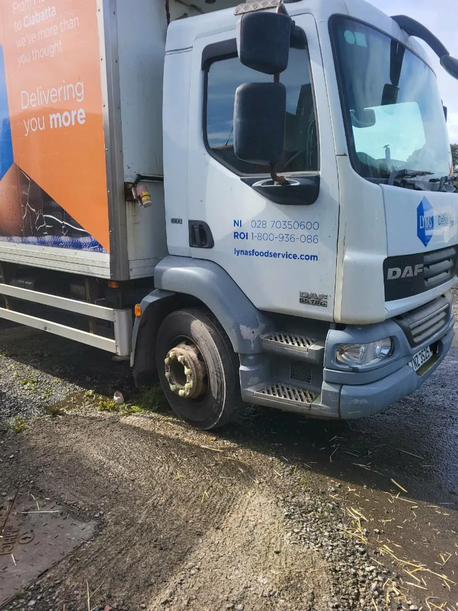 Daf 55 2013 - Image 2