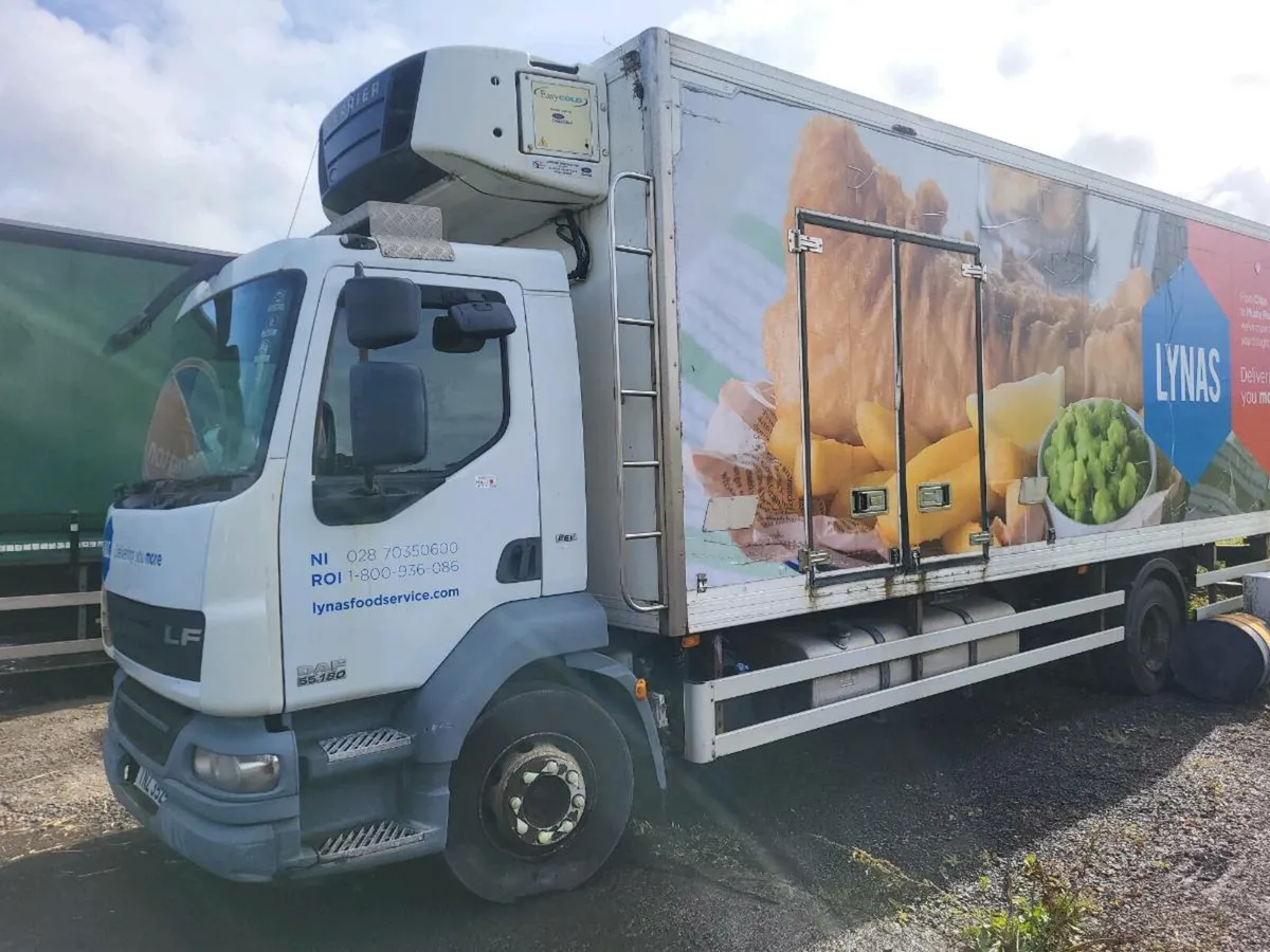 Daf 55 2013 - Image 1