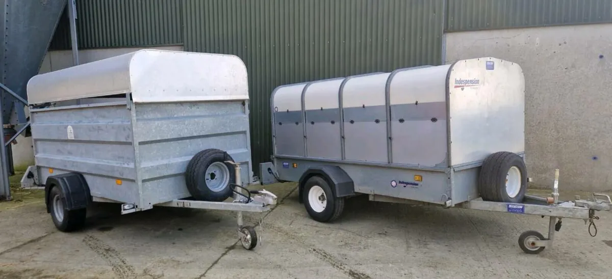 Sheep/Calf Trailers - Image 1