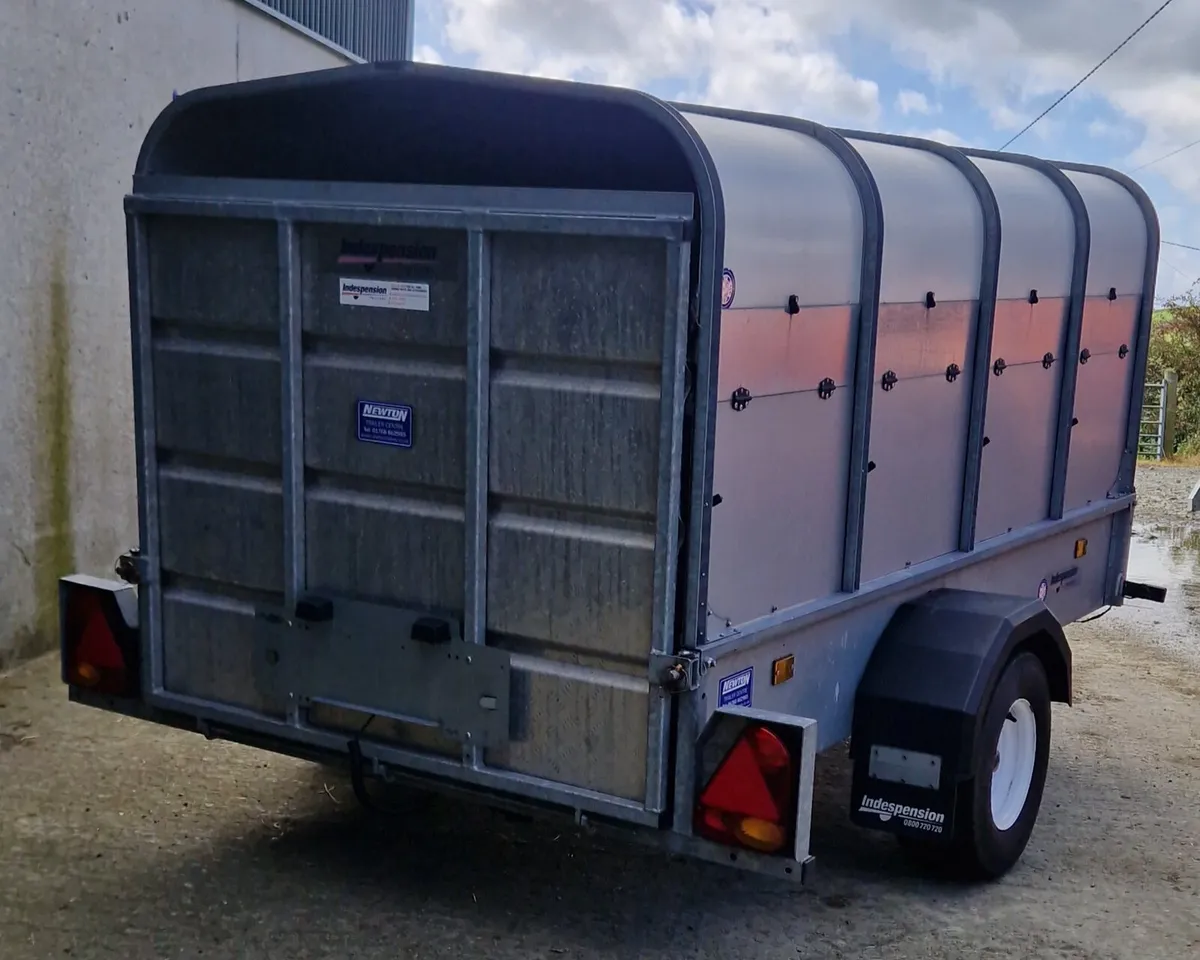 Sheep/Calf Trailers - Image 3