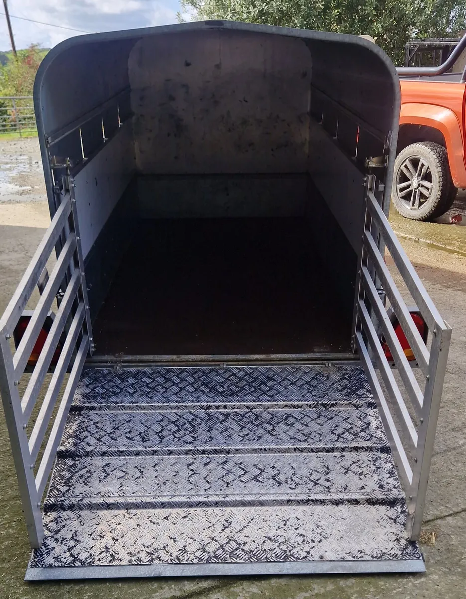 Sheep/Calf Trailers - Image 4