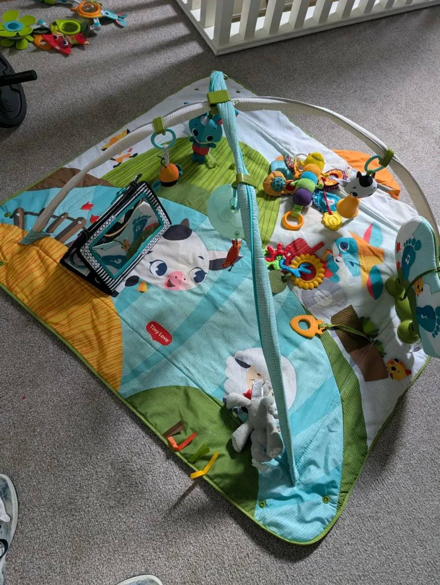 Baby toys - Jumparoo, playmat etc - Image 3