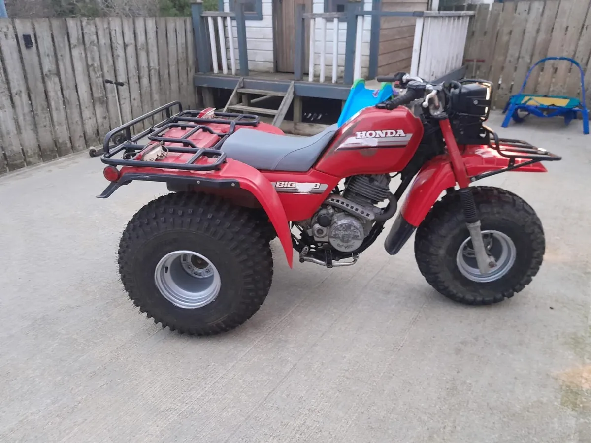 Honda 250 trike - Image 1