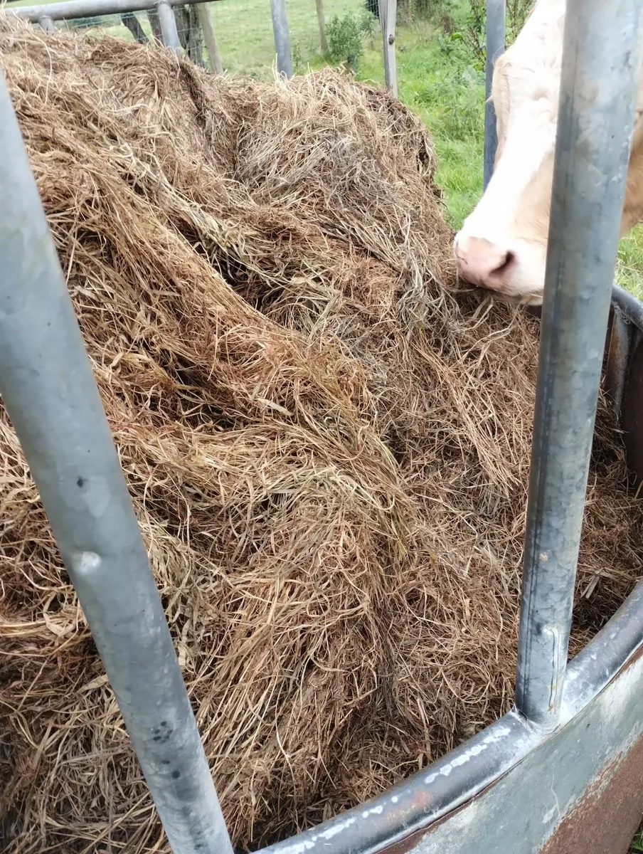 Round bale silage - Image 3