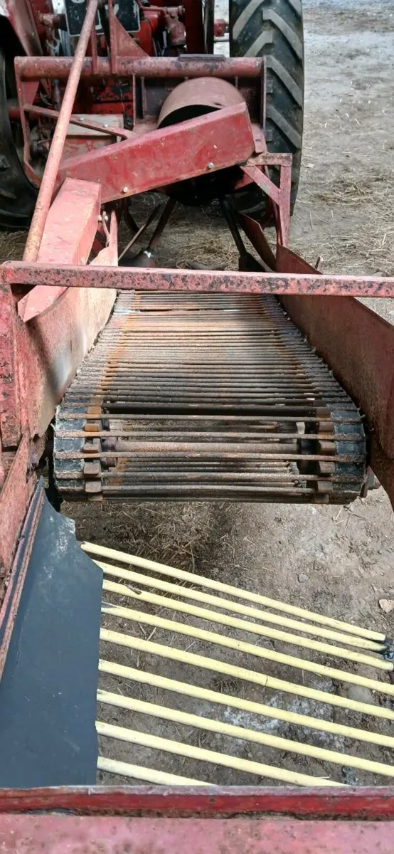 Potatoe digger - Image 3