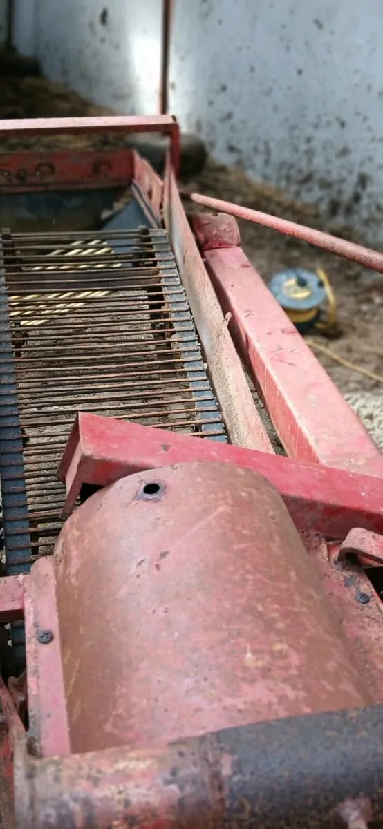 Potatoe digger - Image 4