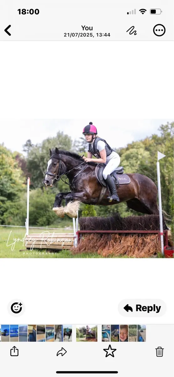 Serious cob - Image 1