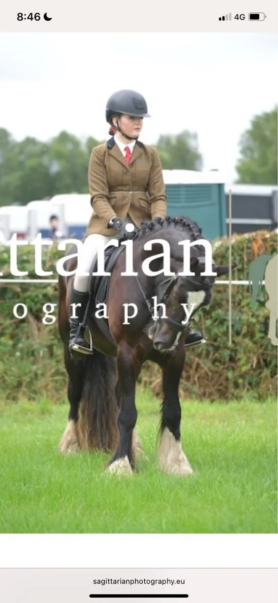 Serious cob - Image 4