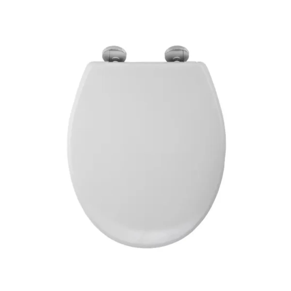 GC Handyman - Toilet Seat Replacement Service - Image 2