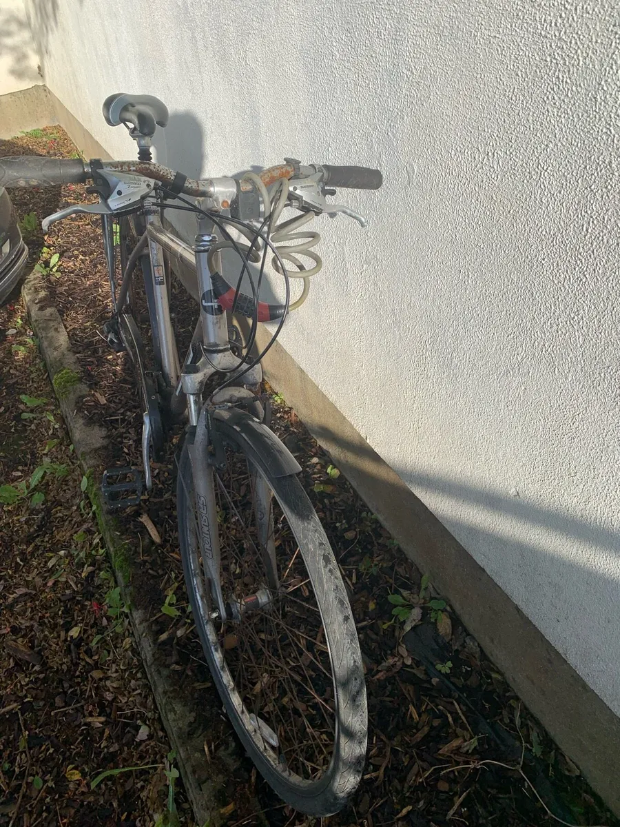 Bike - Image 3