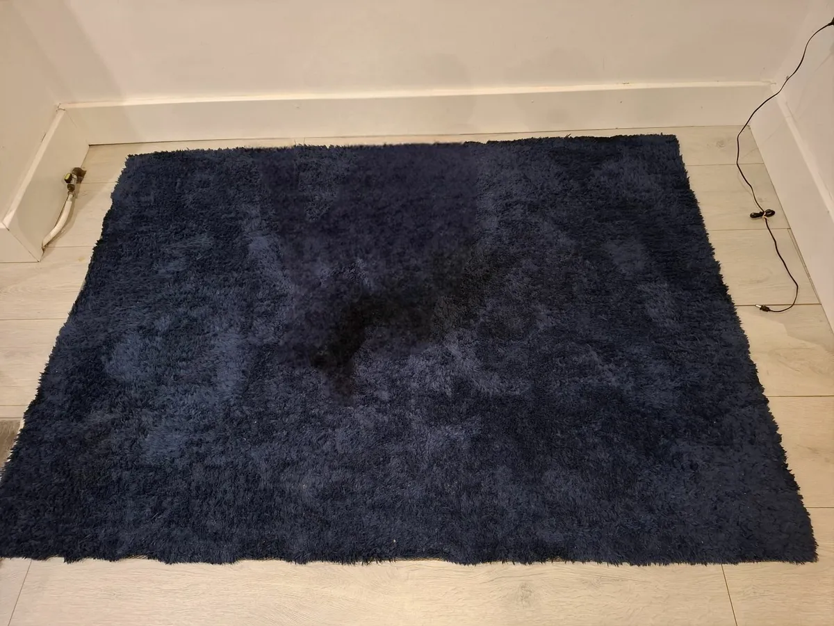 Carpet/Plush rug - Image 2
