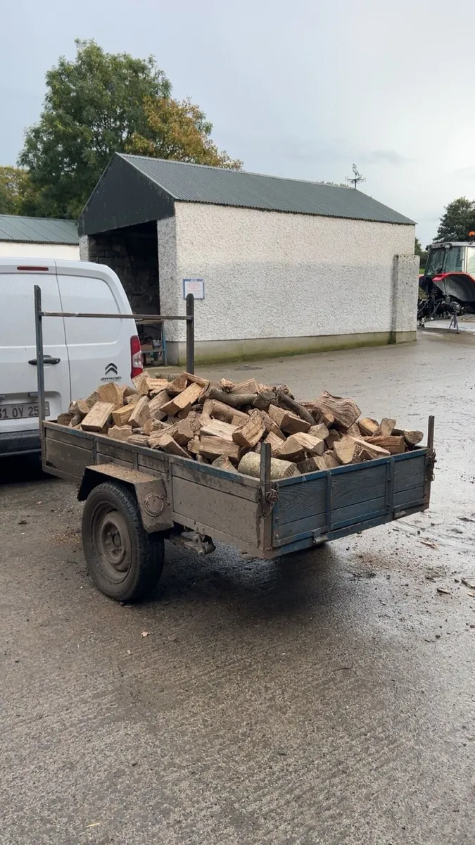 Firewood - Image 4