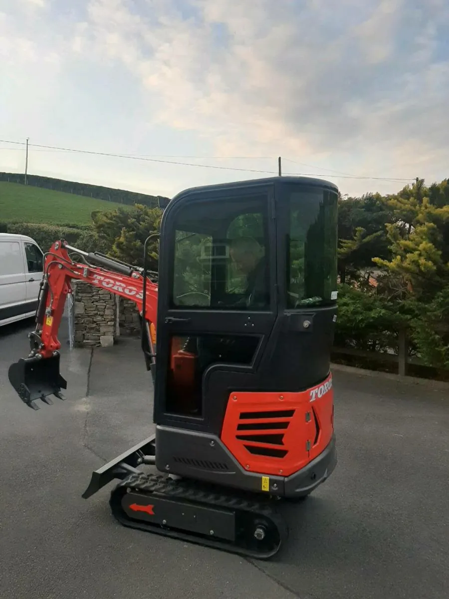 Mini digger - Image 1