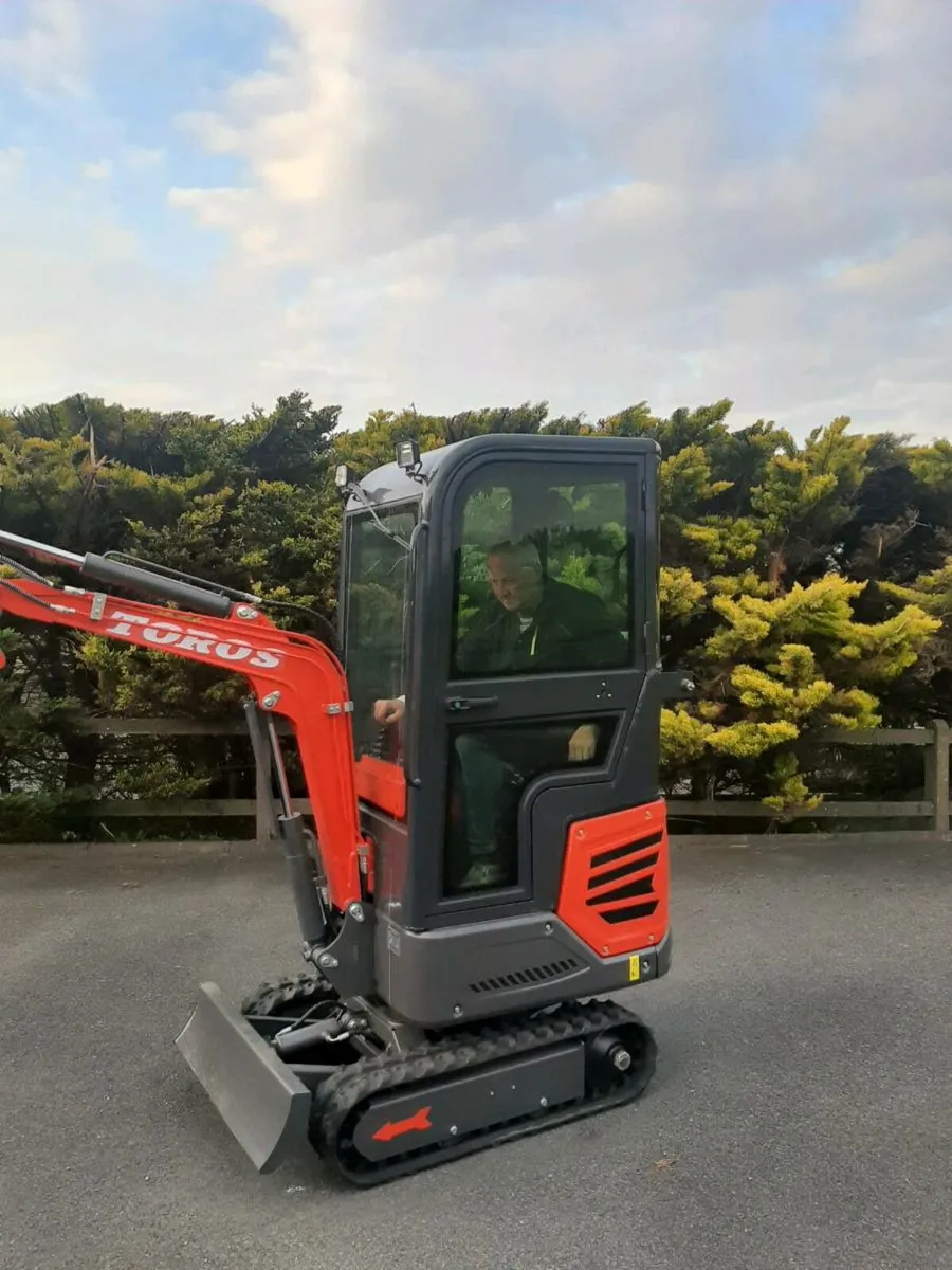 Mini digger - Image 3