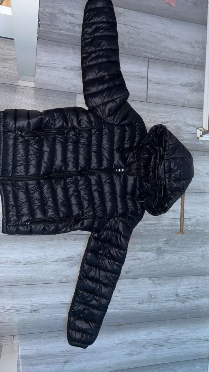 Canada goose - Image 4