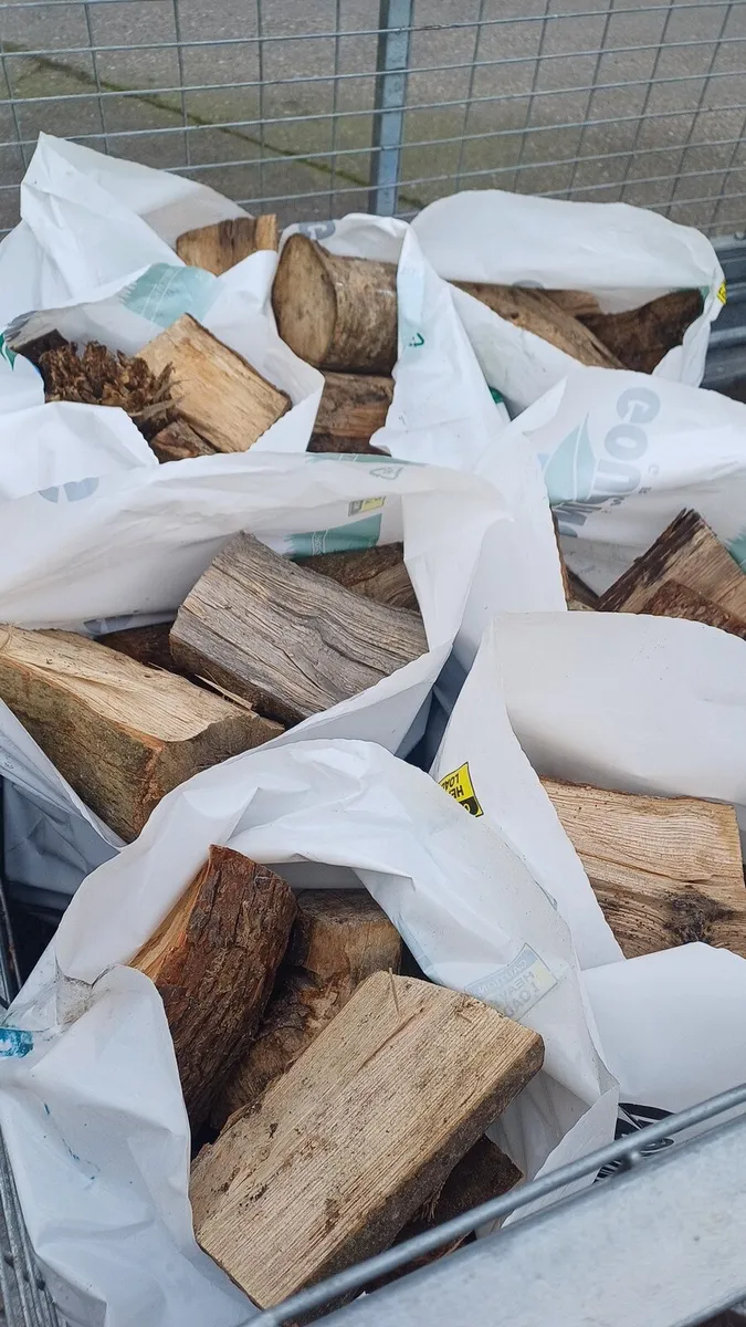 Firewood - Image 3
