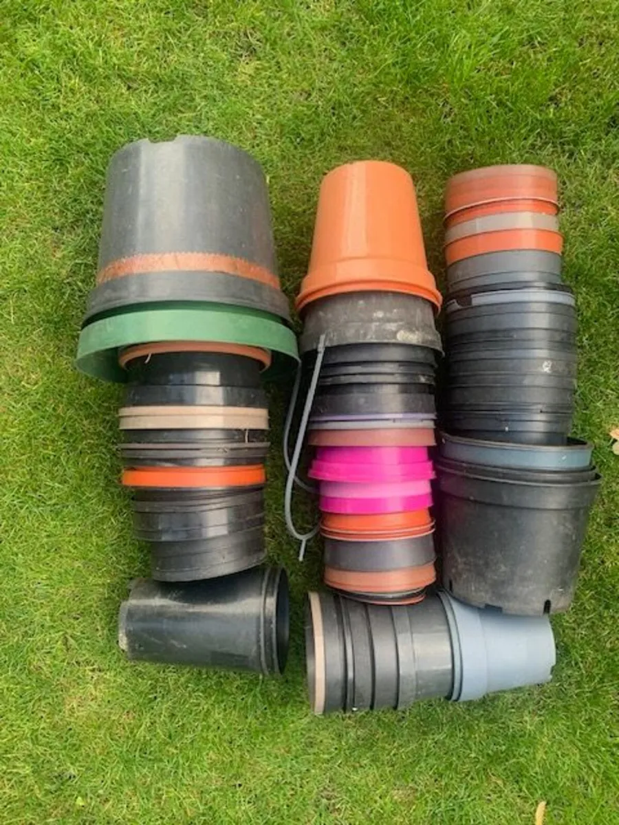 Free 1 selection of plant pots
