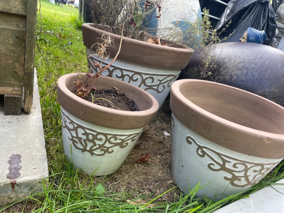 3 for €20 pots - Image 1
