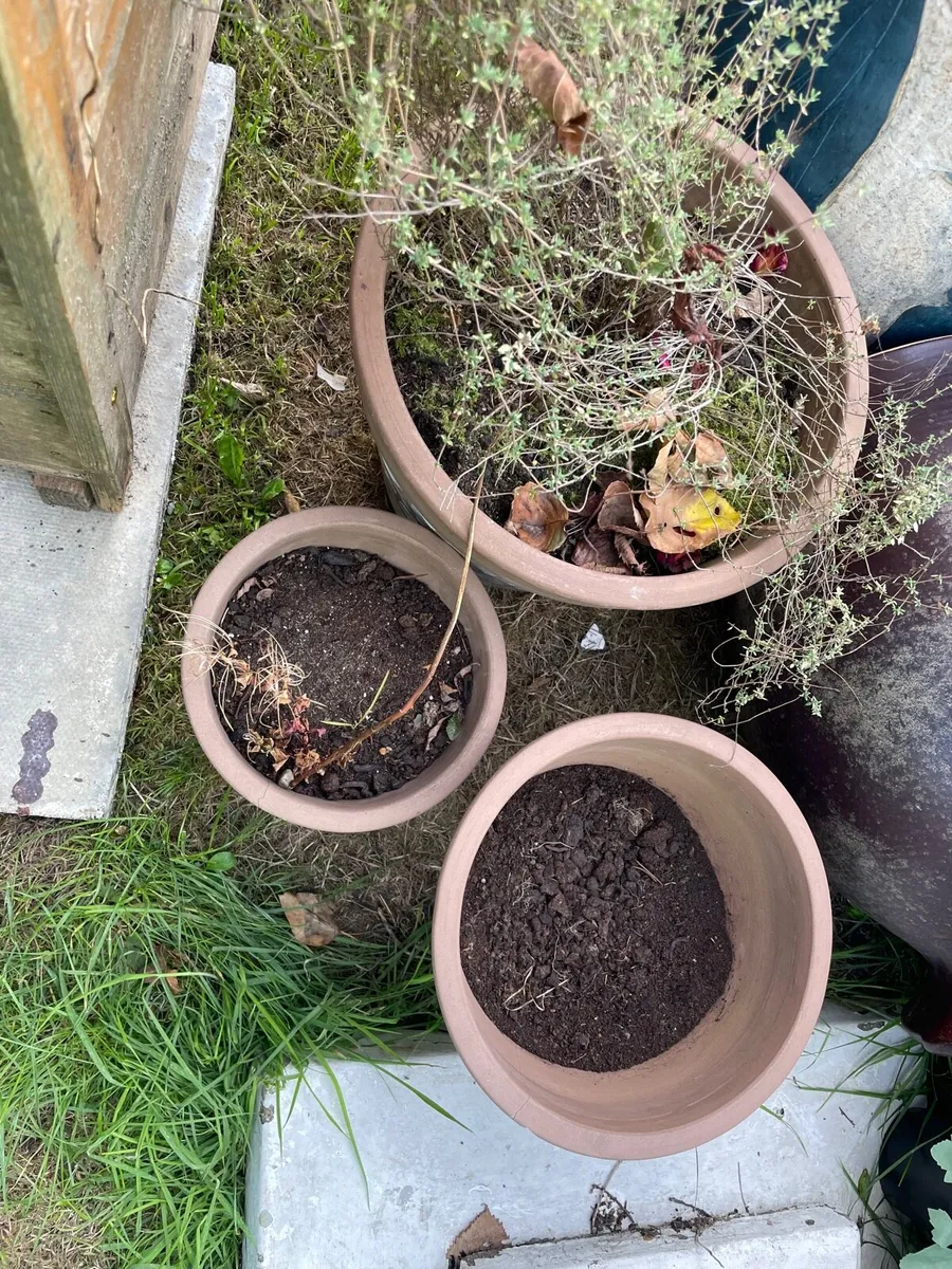 3 for €20 pots - Image 2