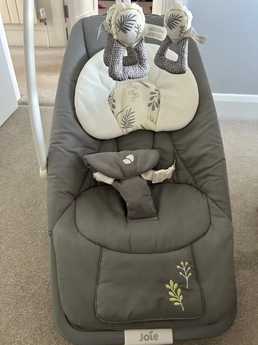 Joie Dreamer Rocker - Fern - Image 1