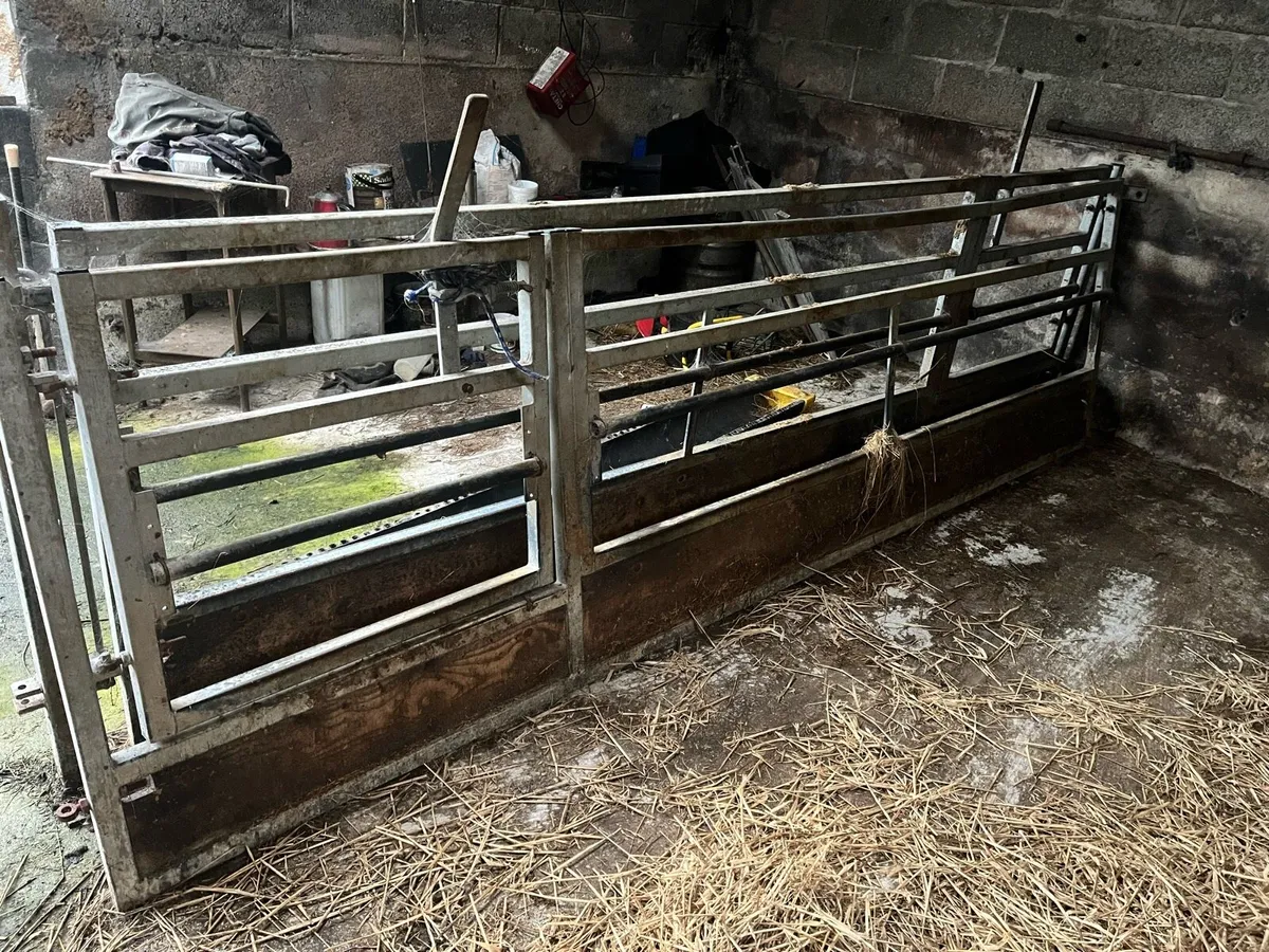 Sheep equipment - Image 1