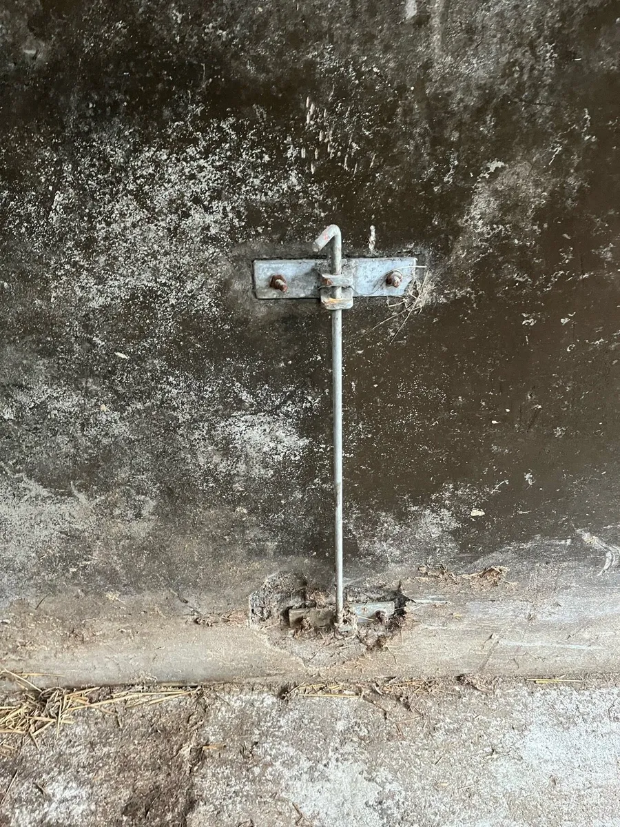 Sheep equipment - Image 2