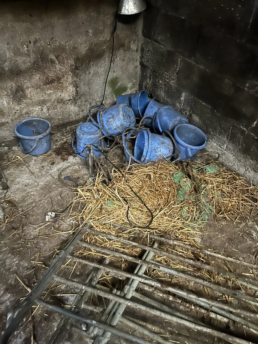 Sheep equipment - Image 4