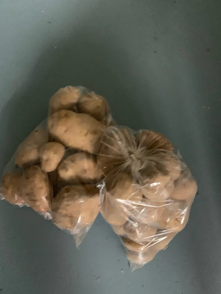 Potatoes - Image 2