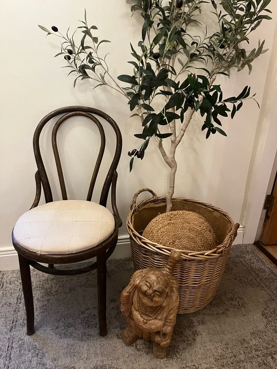 Bentwood vintage chair - Image 1