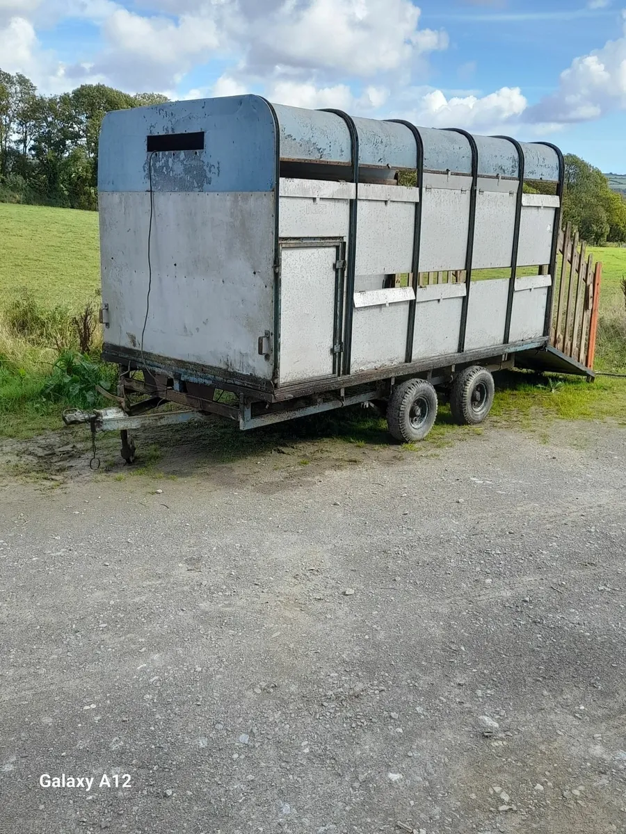 Cattle Box 12 x6 - Image 1