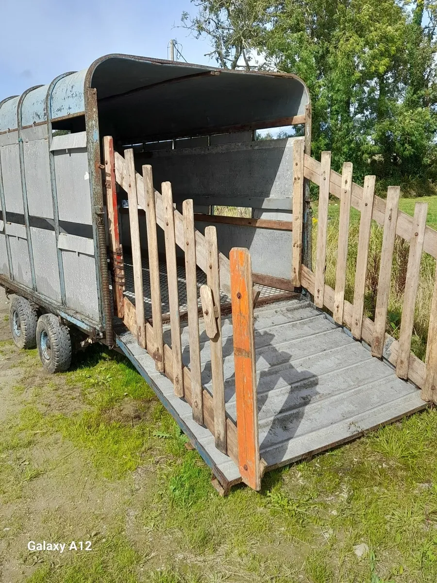 Cattle Box 12 x6 - Image 2