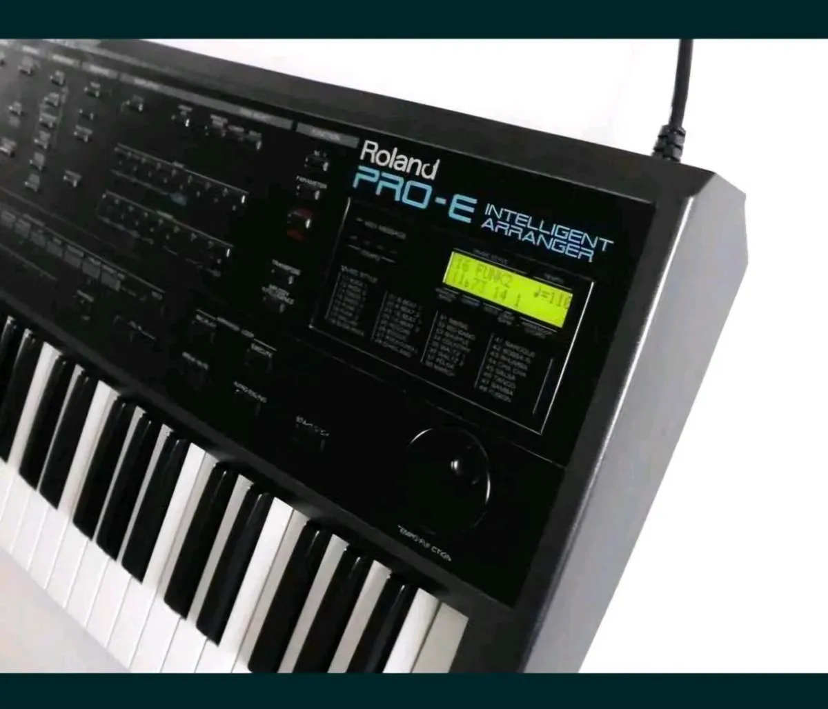Roland Lucina and Roland Pro E - Image 4