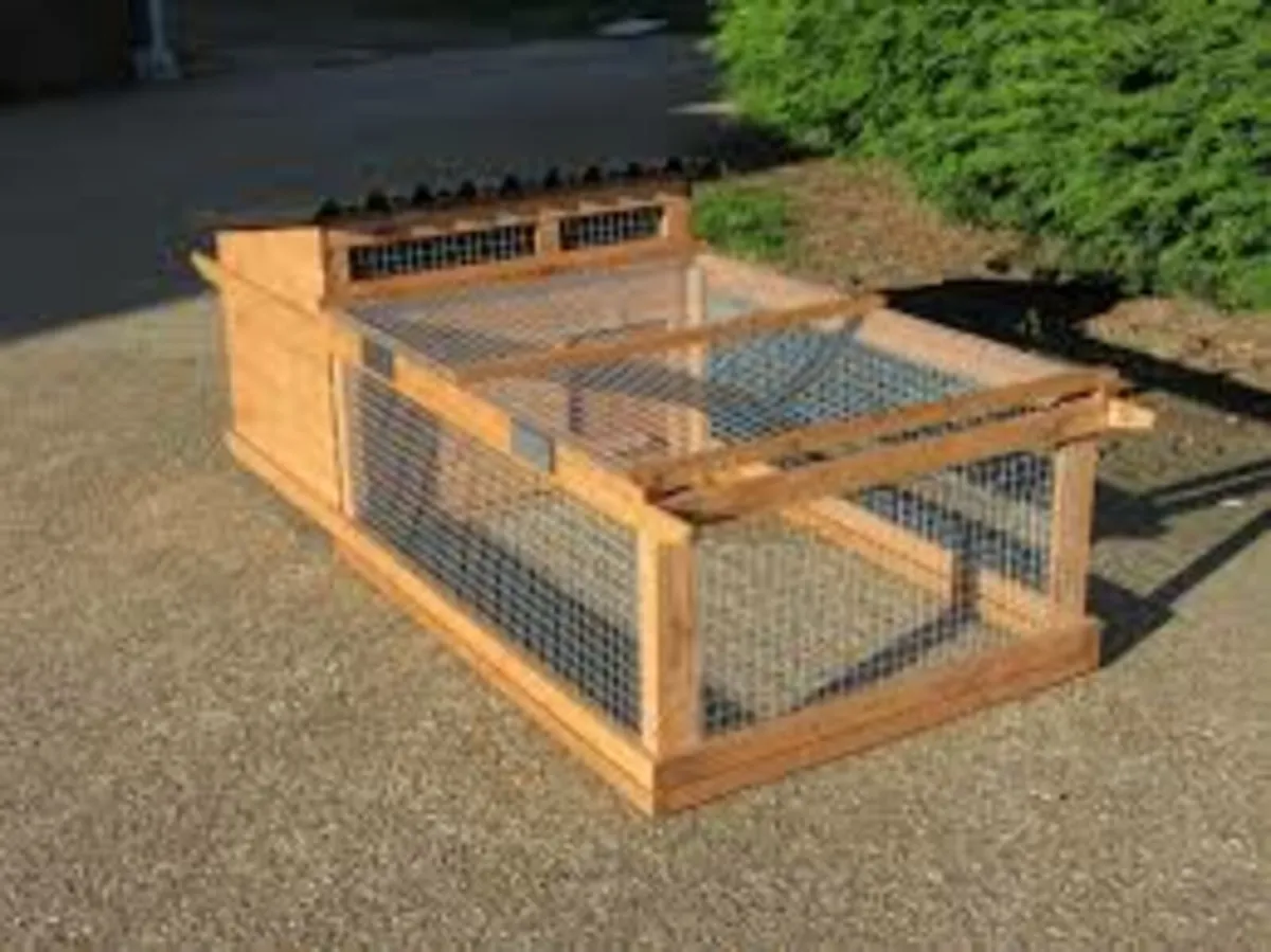Custom Chicken/Duck Coops, Dog Kennels ECT - Image 2