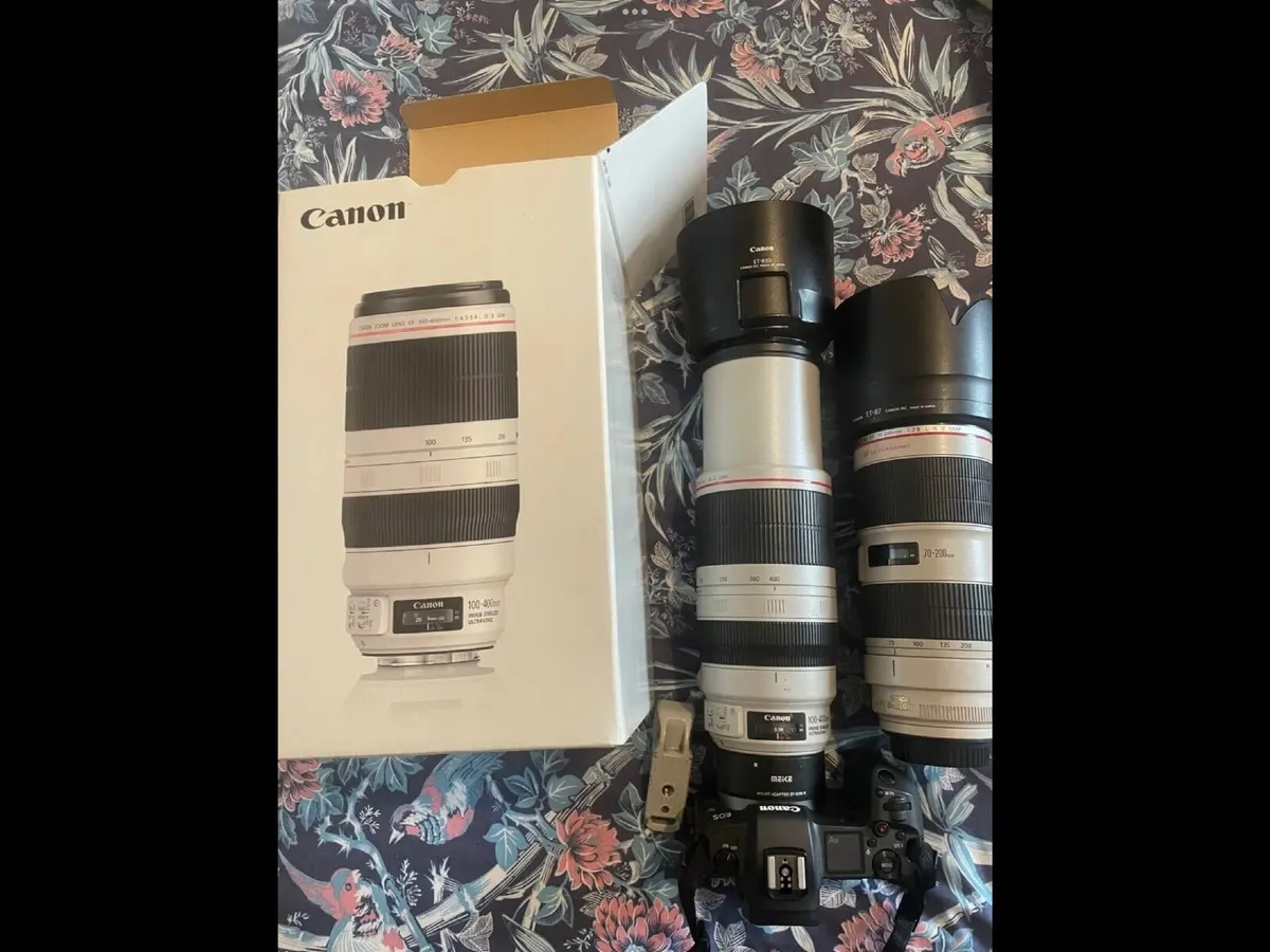 Canon premium telephoto lens - Image 2