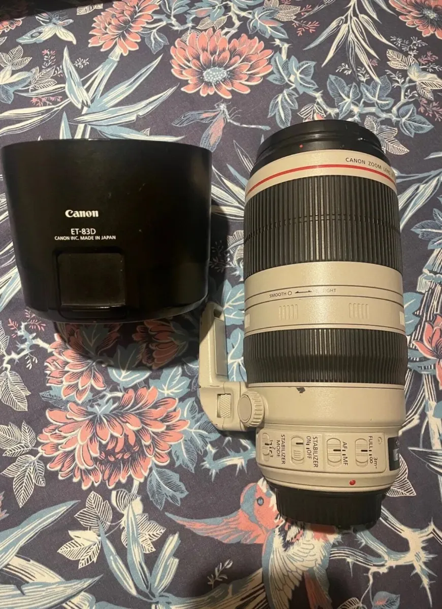 Canon premium telephoto lens - Image 1