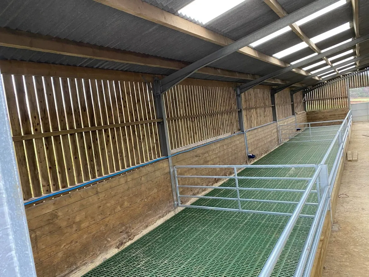 Slatted Shed Wanted - Image 3