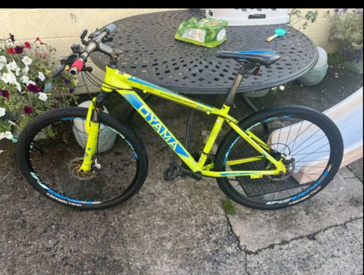 Mountain bike
