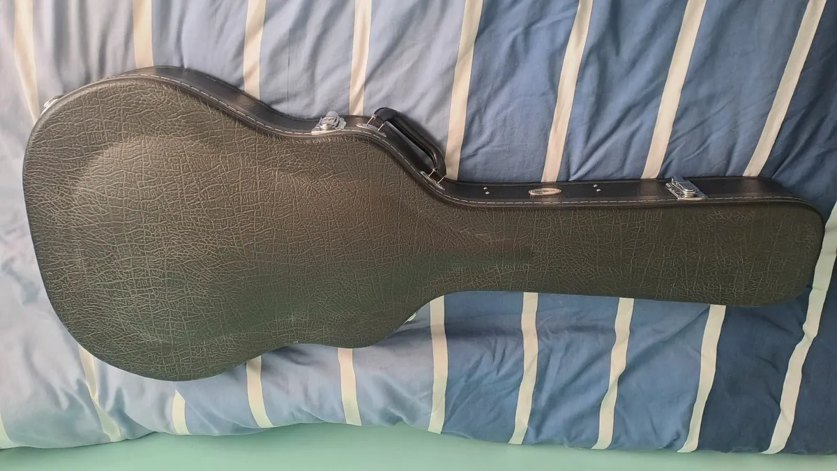 Hollow body guitar case - Image 1