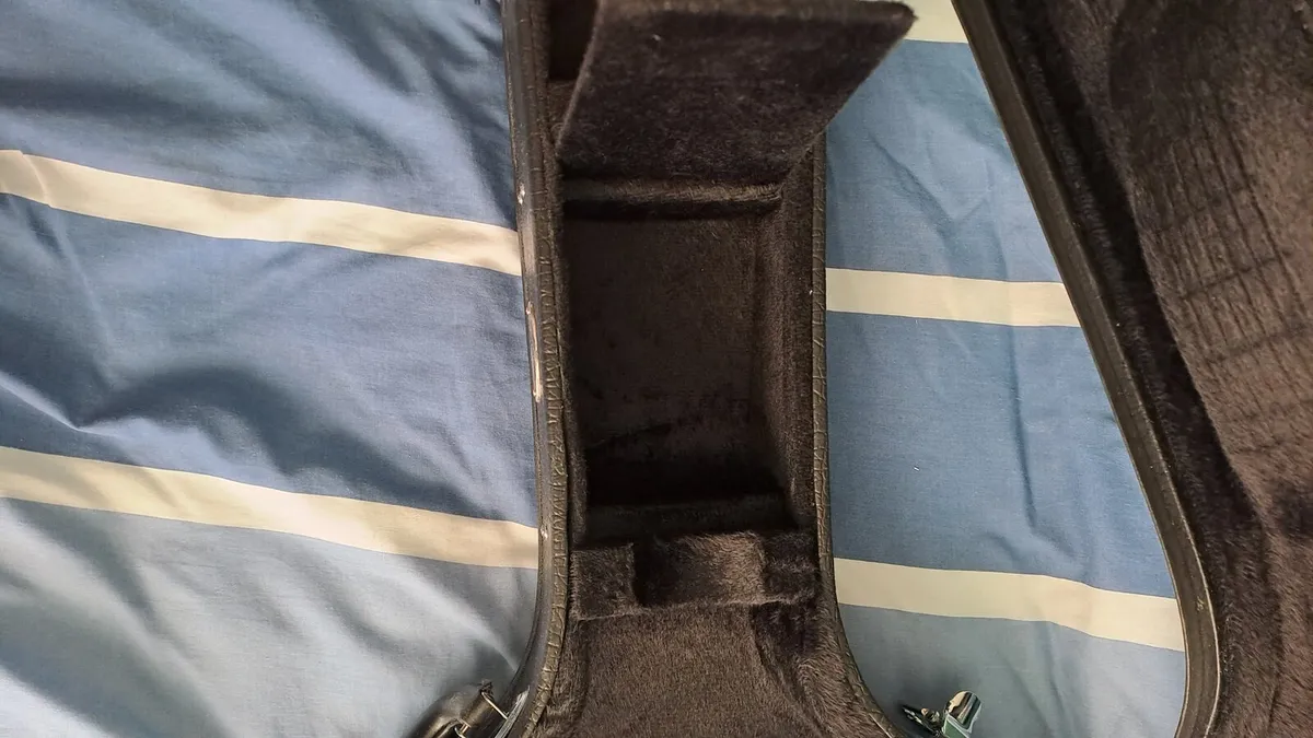 Hollow body guitar case - Image 4