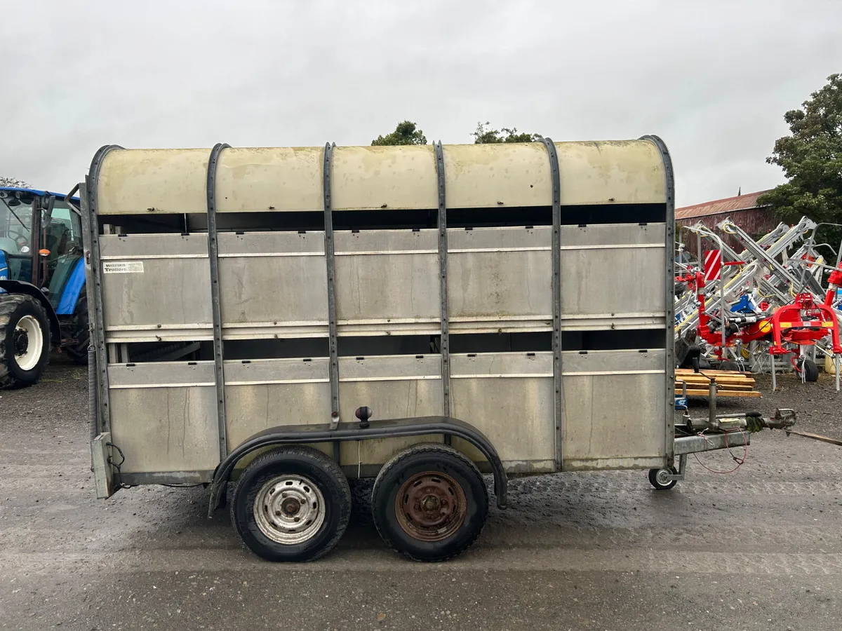 Wessex 10x5 Cattle Trailer - Image 4