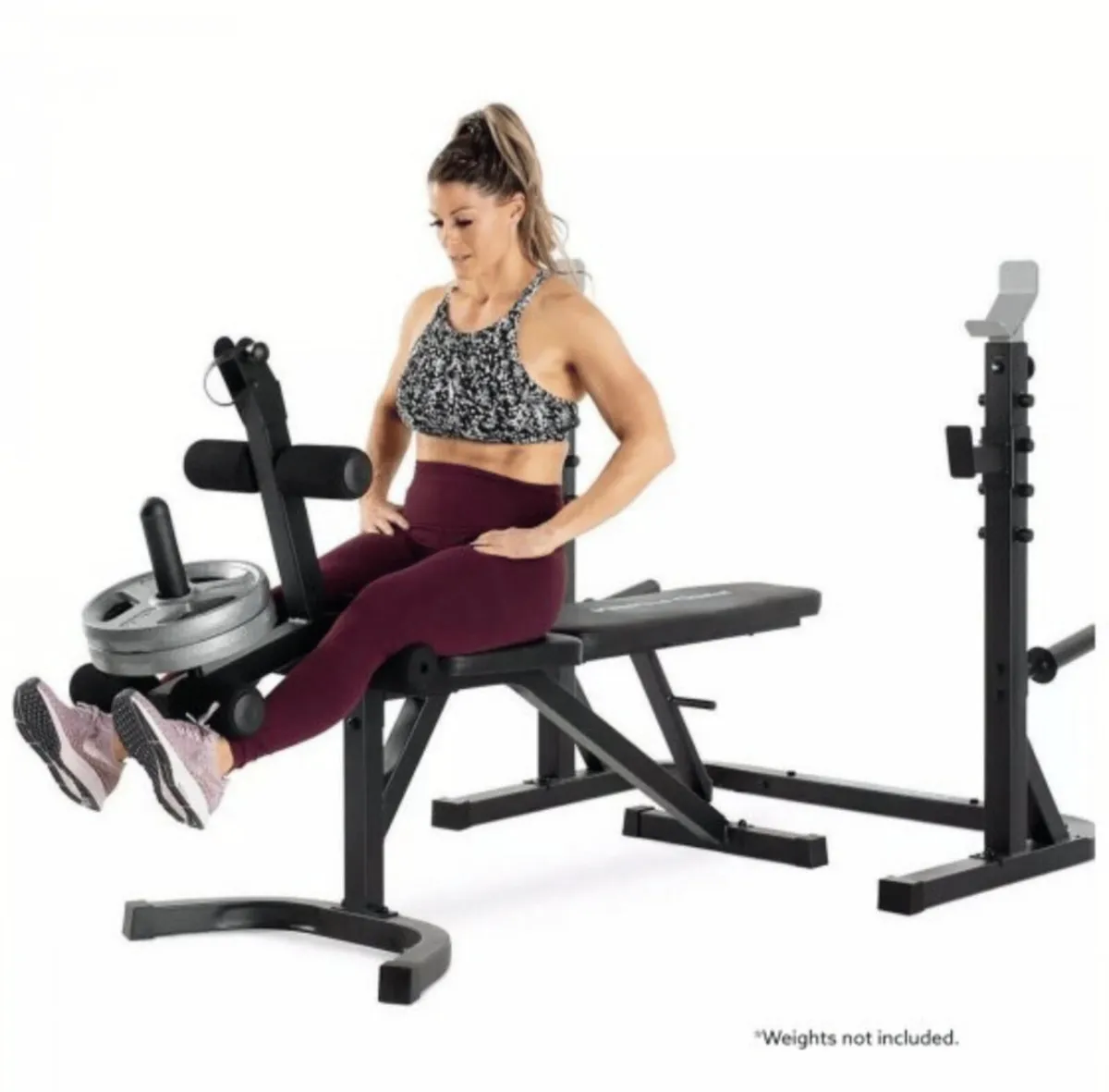Proform olympic rack and bench and 10kg sandbag - Image 4
