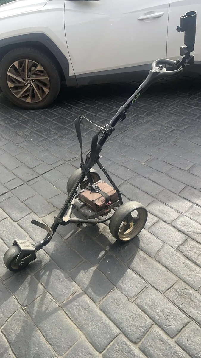 Electric trolly - Image 2