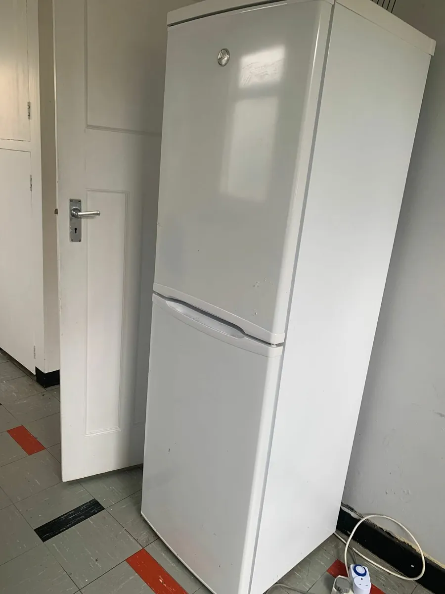 Fridge Freezer - Image 1