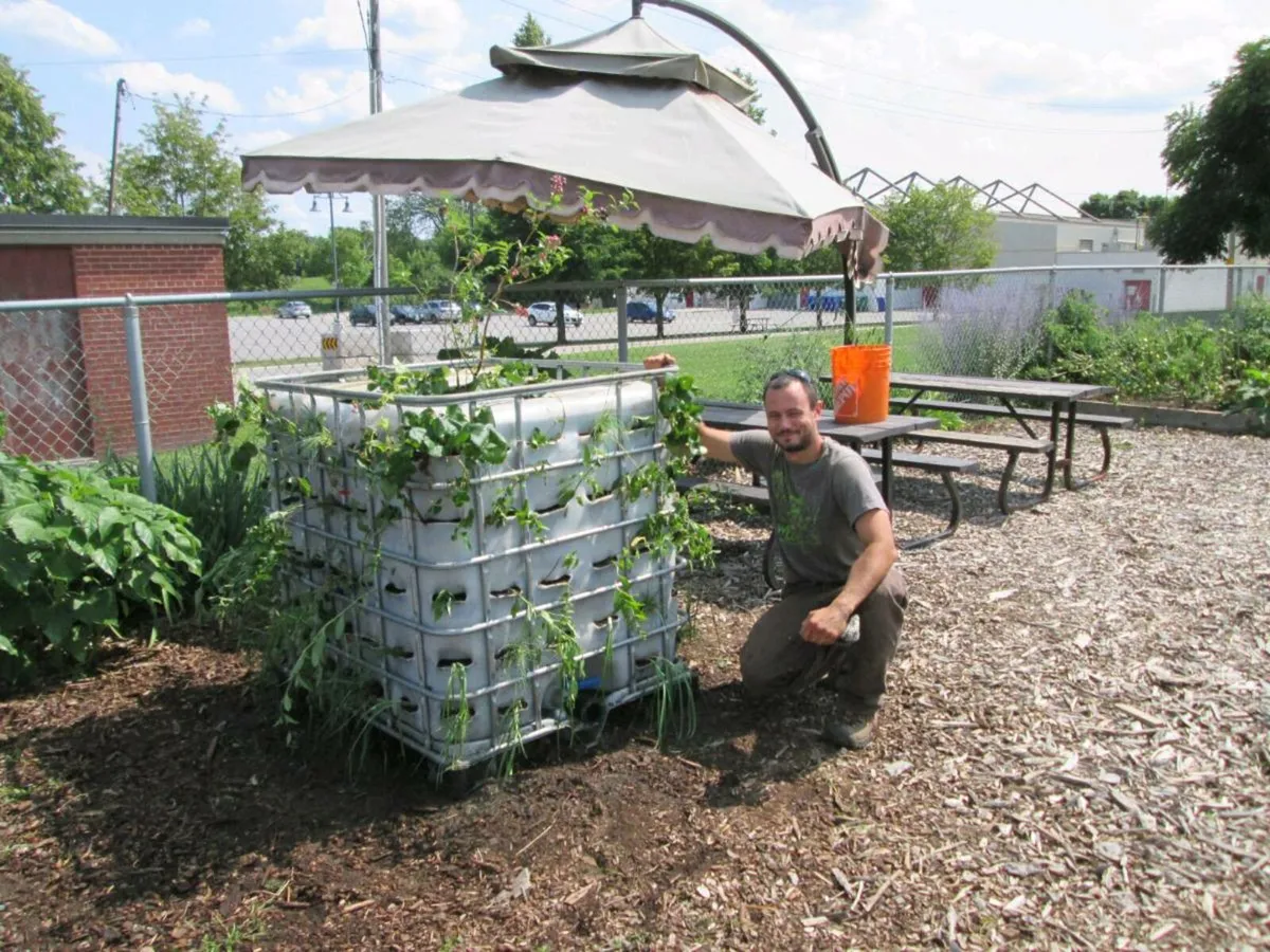 Ibc tanks. Food grade - Image 1