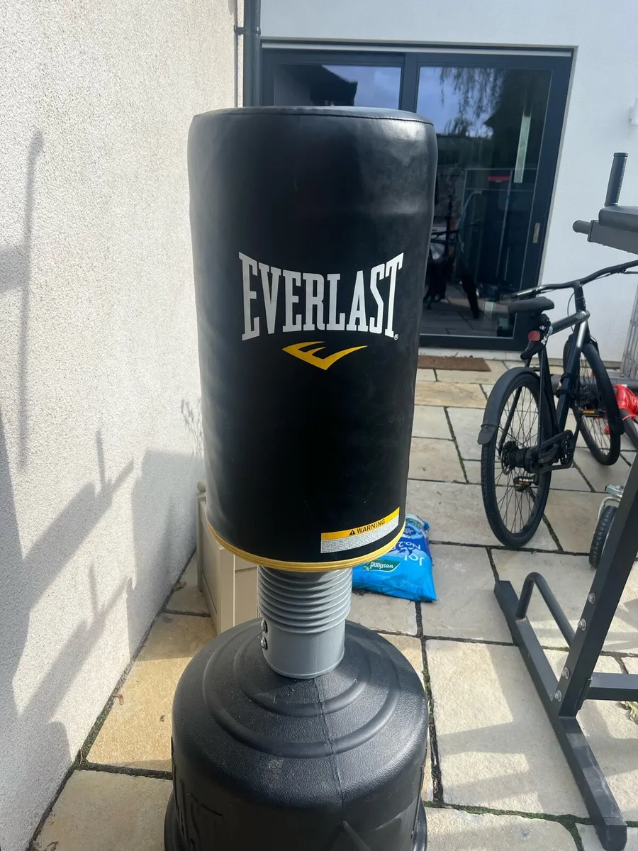 Everlast Punching bag - Image 1